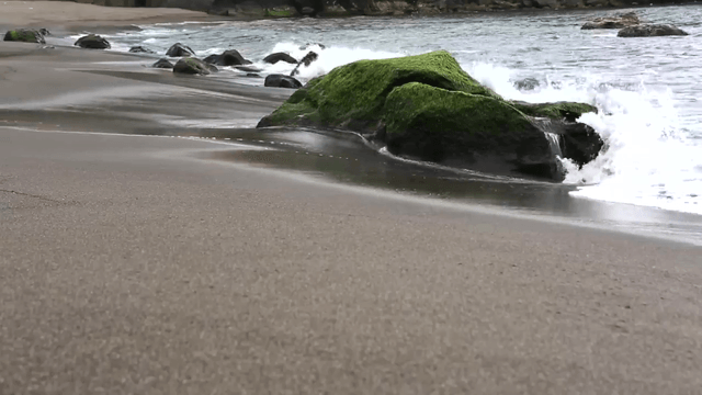 Let's Dance thumbnail